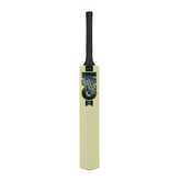 Gunn & Moore Aion Junior Cricket Bat